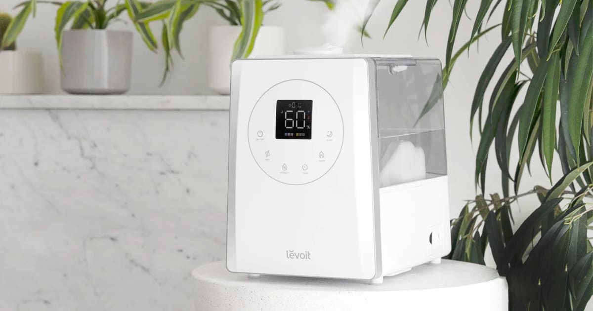 The Best Humidifiers for a More Comfortable Home - Vimarsana News