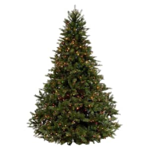 Treetime Ashton Spruce (Clear Lights, 3 Foot)