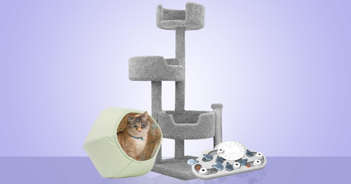 Nina-Ottosson Cat Interactive Toy - Rainy Day - petclub