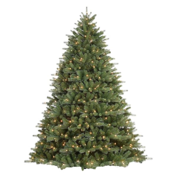 Douglas Fir (Clear Lights, 7.5 Foot)