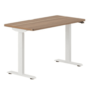 Branch  Duo Standing Desk