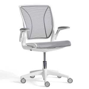Humanscale Diffrient World Mesh Swivel Desk Chair