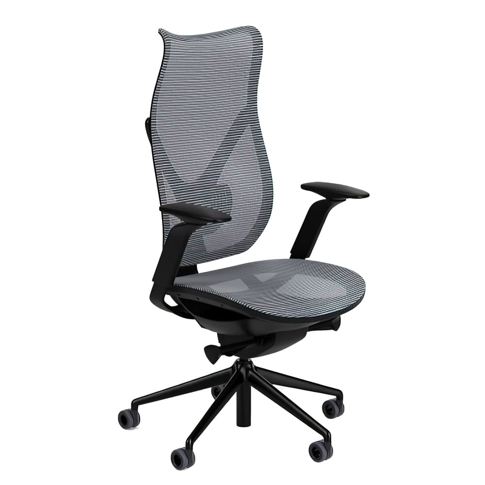 How to Shop for an Ergonomic Office Chair, According to Back Experts - Buy  Side from WSJ