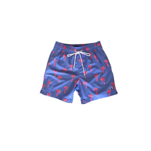 Beau Hudson Swim Shorts (Kid)