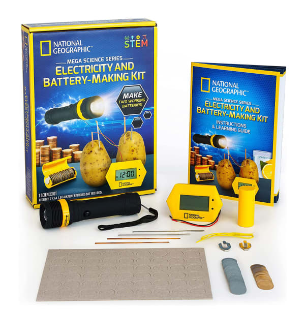 Battery Making Kit - Potato Clock and Penny Powered Flashlight Science Kit