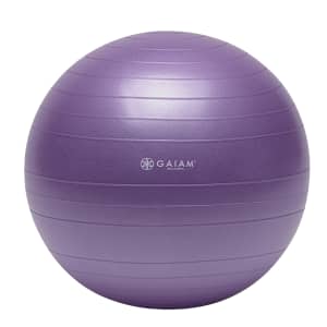 Gaiam Total Balance Ball Kit