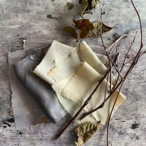 Cara Marie Piazza Gift Certificate for Natural Dyeing Workshops