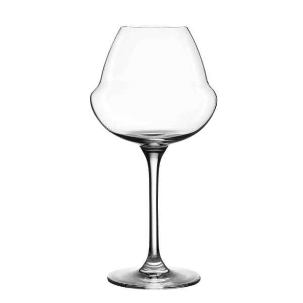 Oenomust Wine Glass