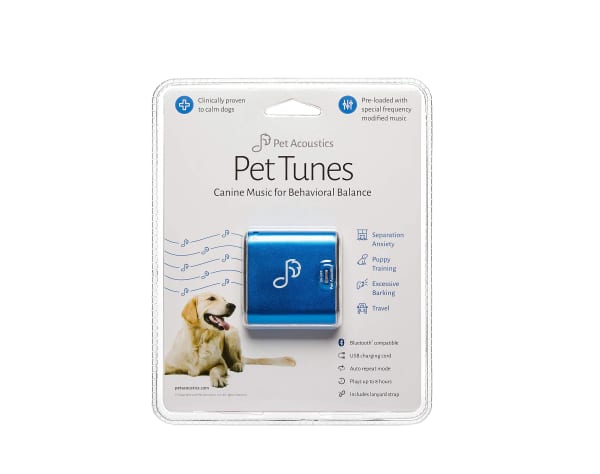 Best Gifts For Dogs 2023 - Forbes Vetted