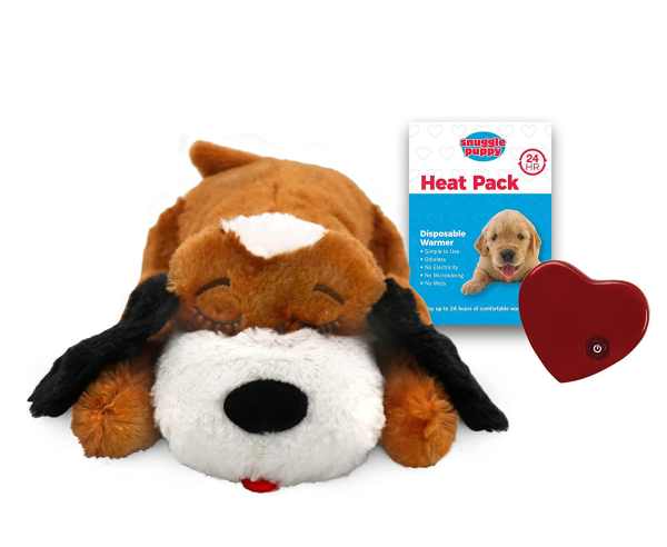 My 3 Favorite Interactive Dog Toys: Bust Doggy Boredom