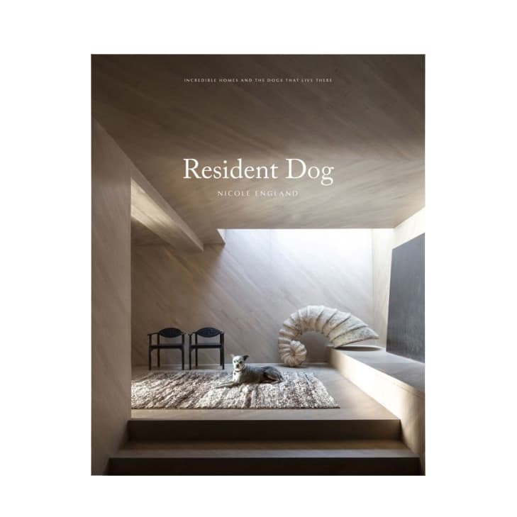 Resident Dog (Volume Two): Incredible Homes and the Dogs Who Live There