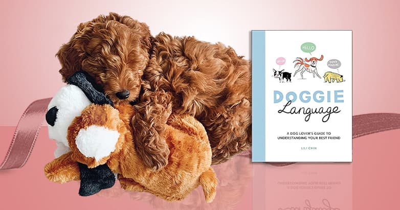 29 Best Gifts for Dog Lovers 2023