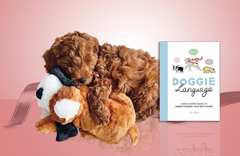 35 Best Gifts for Dog Lovers in 2022 - Dog Lover Gift Ideas