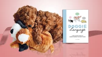 11 Best Gifts for Dog Lovers