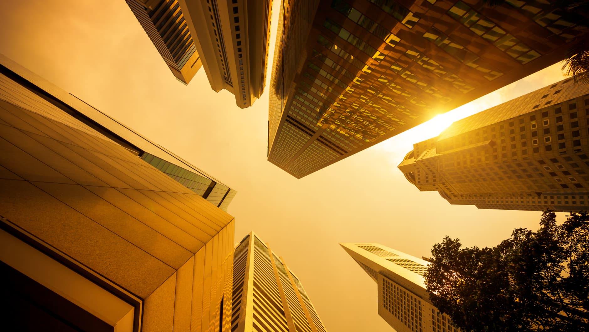 The Best REIT ETFs of 2024 Buy Side from WSJ