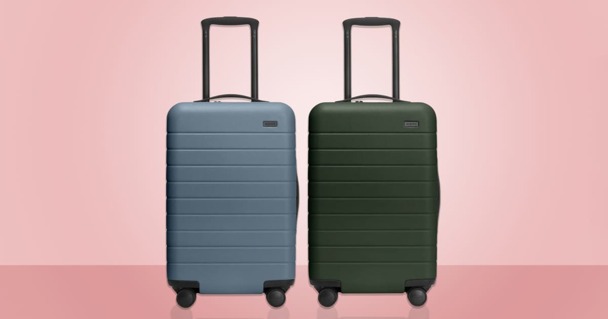 Suitcase & Garment bag - 2 bags - general for sale - by owner