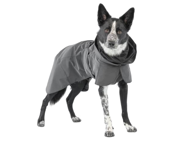 Reflective LV Dog Raincoat - The Supreme Paw Supply