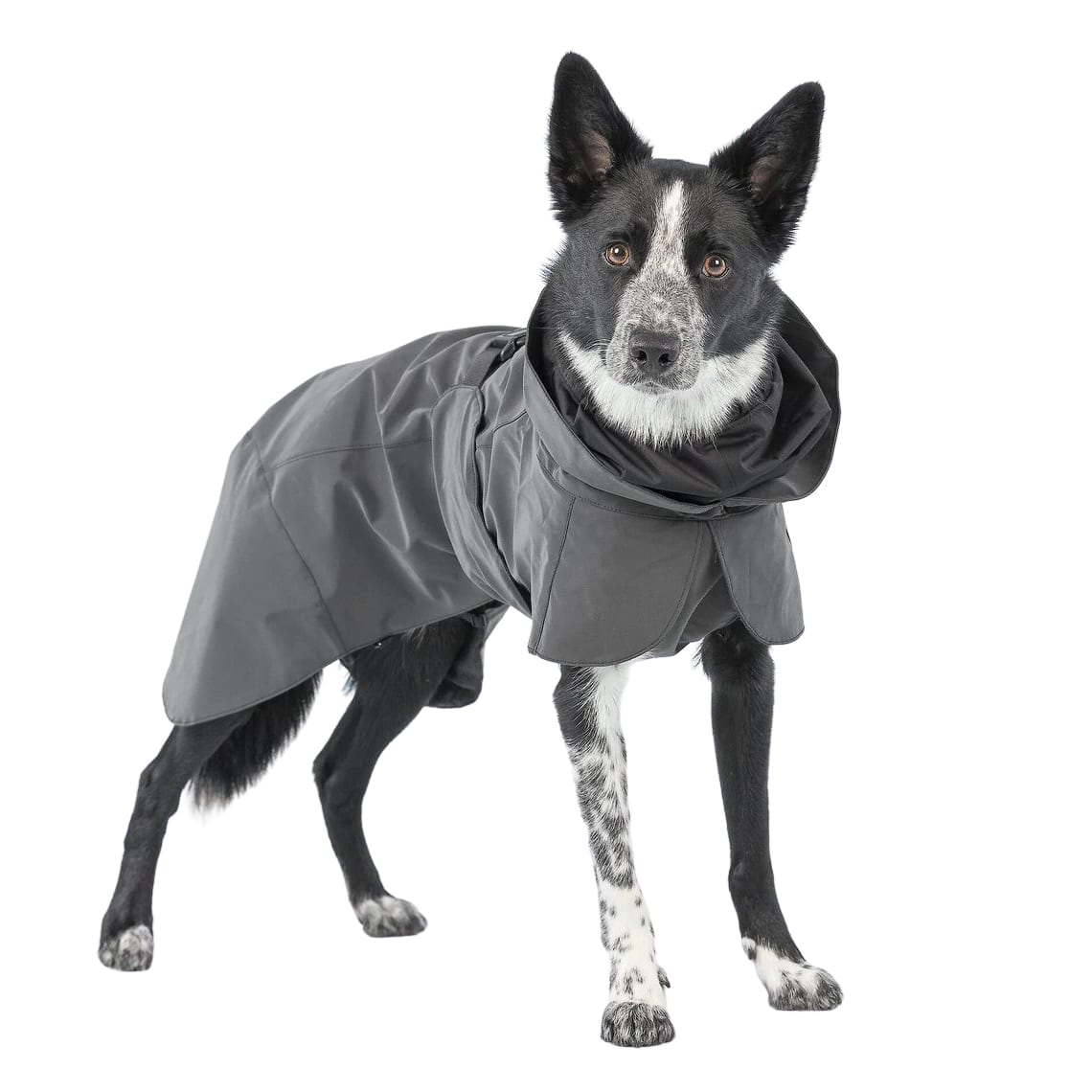 Visibility Dog Raincoat