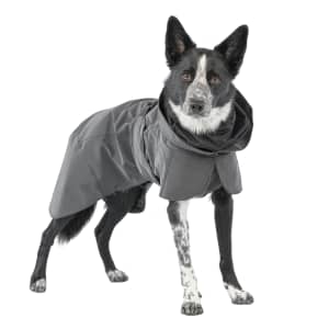 Paikka Visibility Dog Raincoat