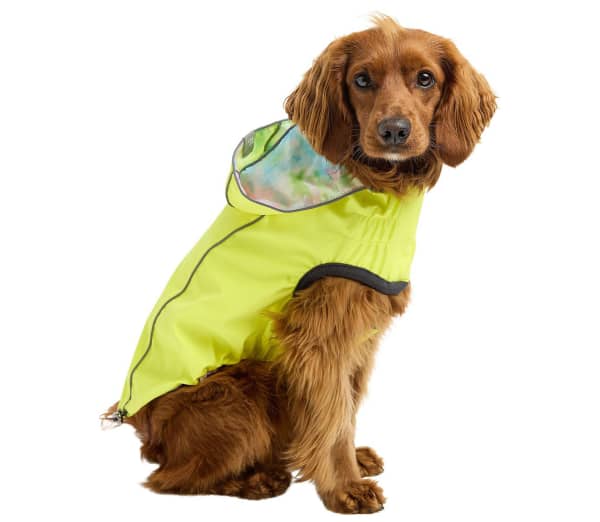 Neon Reversible Dog Raincoat