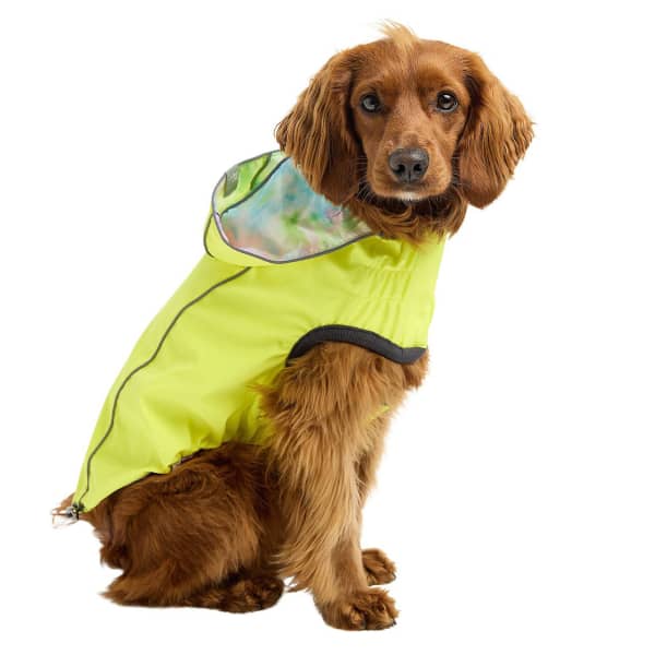 Neon Reversible Dog Raincoat