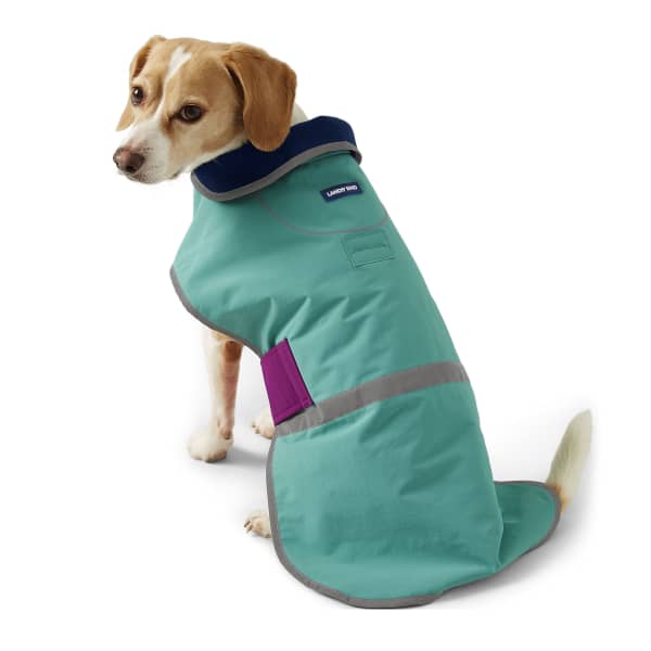 Dog Solid Squall Jacket