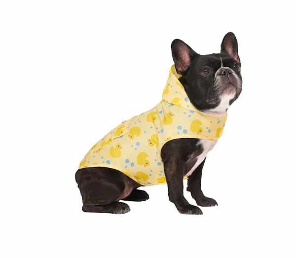 Ducks Pick Me Dog Poncho