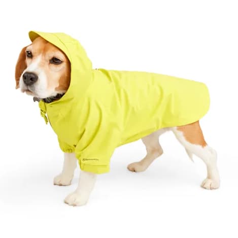 Reflective LV Raincoat With Hood For Dogs