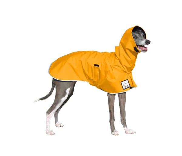 Reflective LV Raincoat With Hood For Dogs