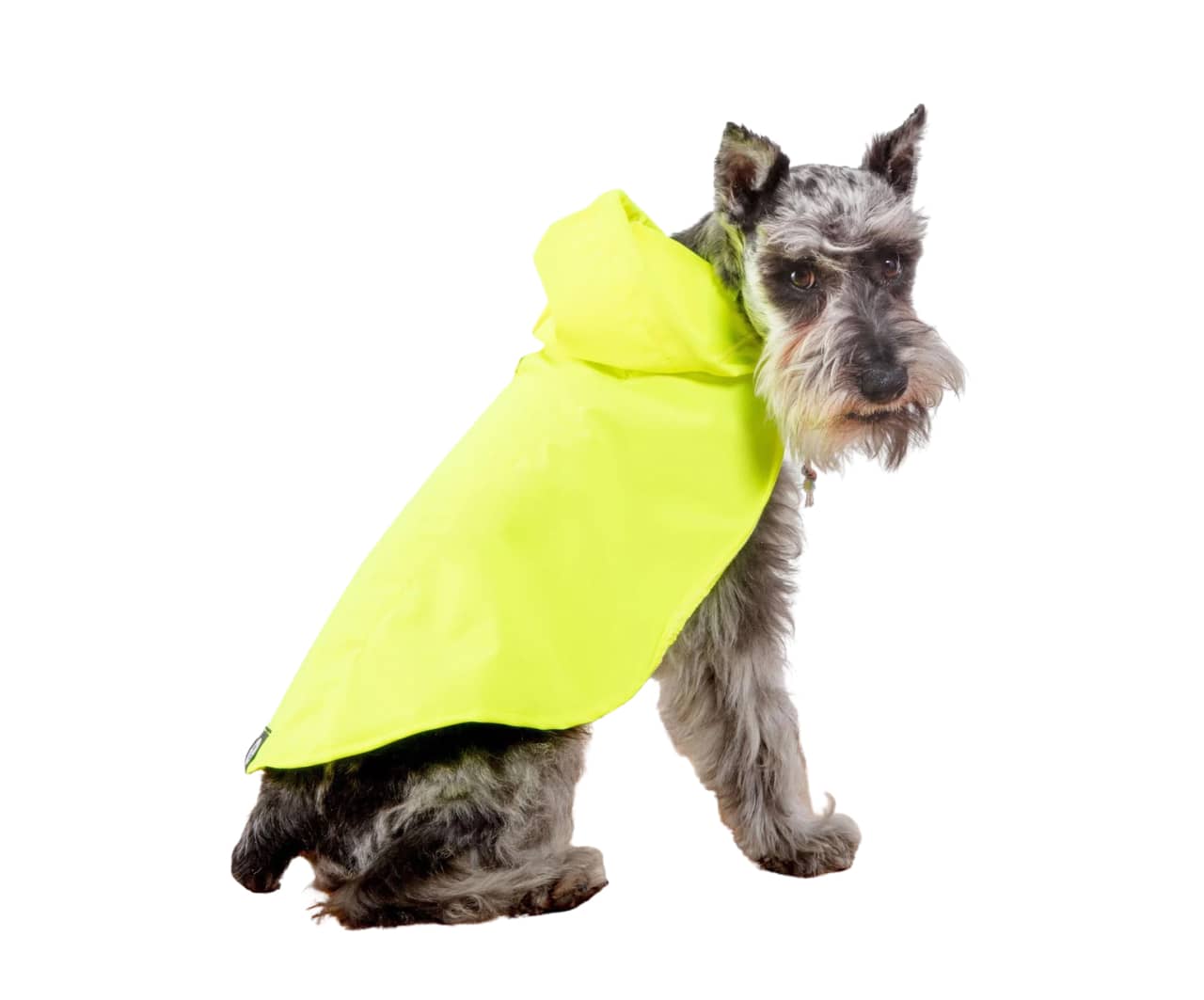 Go Walk High Vis Reflective Dog Coat in Yellow