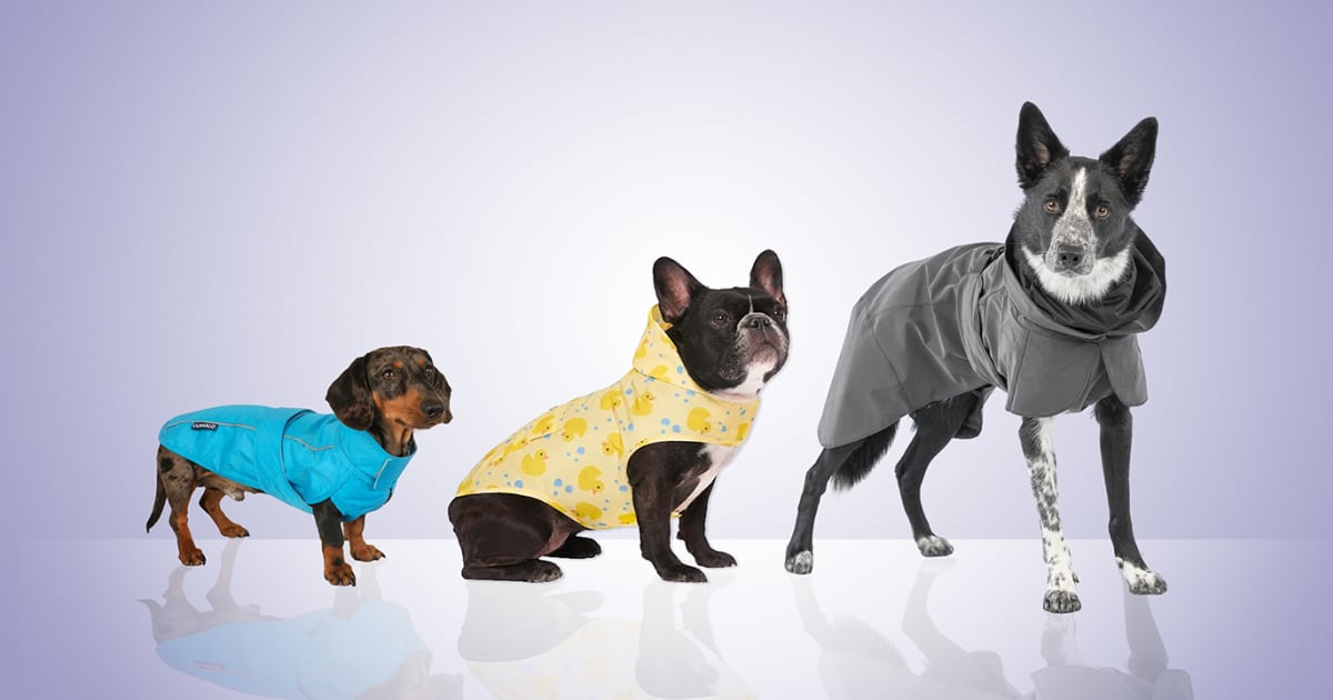 Best raincoat best sale for small dogs