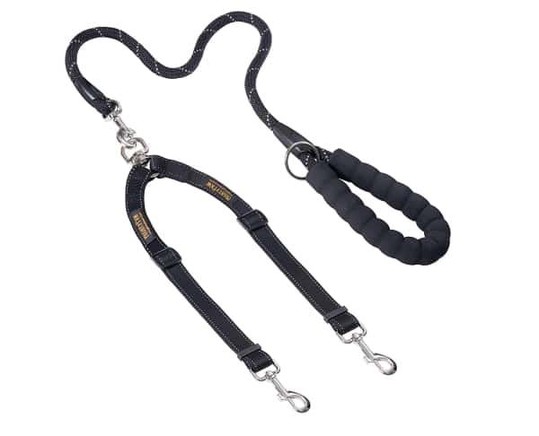 The 16 Best Leashes for Every Type of Dog Buy Side from WSJ