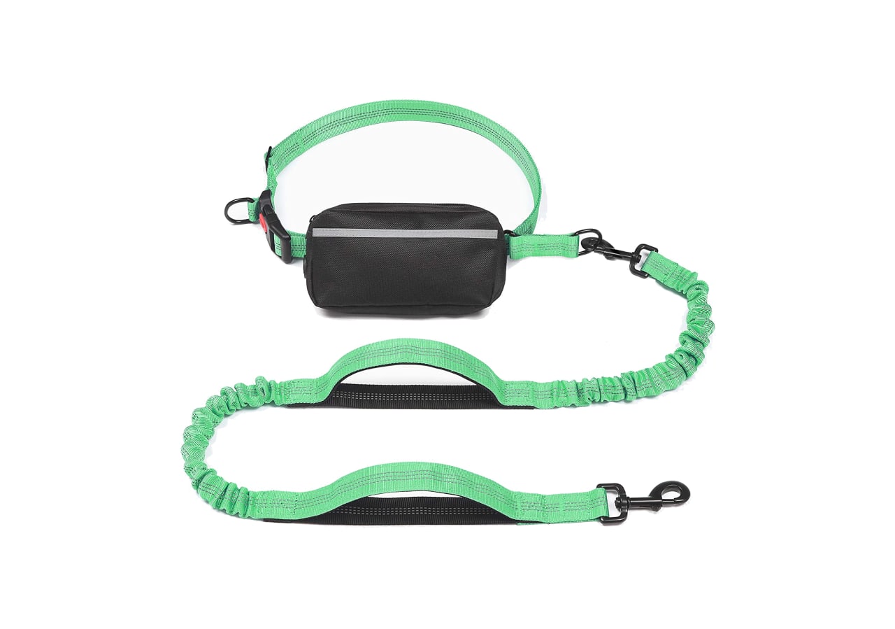 Best dog 2025 leash ever