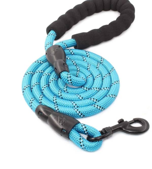The Best Everyday Dog Leash