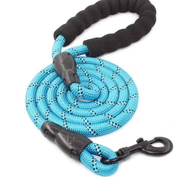 Best leash for outlet large dogs that pull