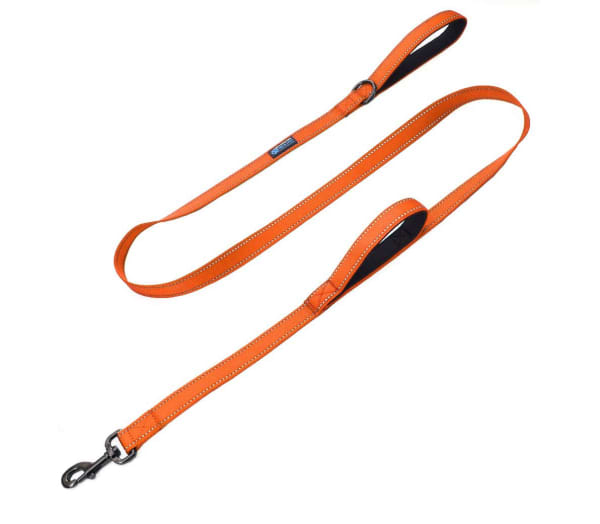 Best double 2024 handle dog leash