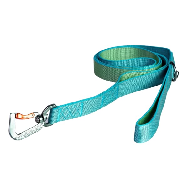 Exploring the Benefits of Dog Leash Bungee Style: A Must-Have for