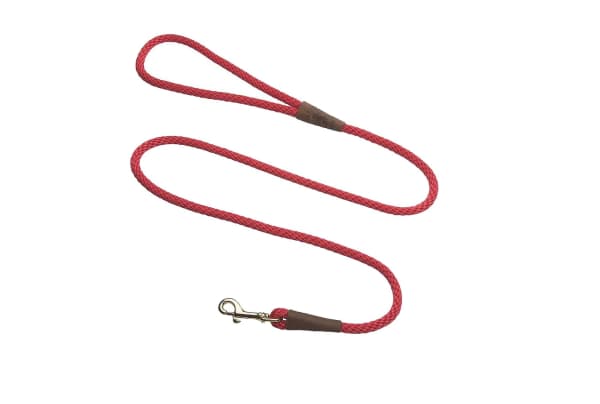 The Best Everyday Dog Leash