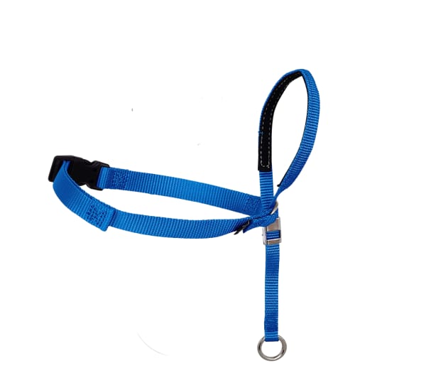 Leash Safety Strap-Light Duty Woven Cord