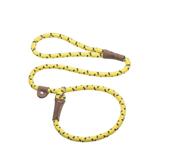 Top rated dog clearance leash