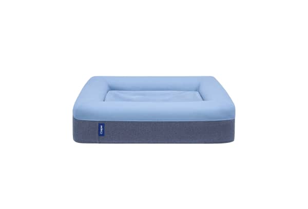 Dog Bed, Medium 