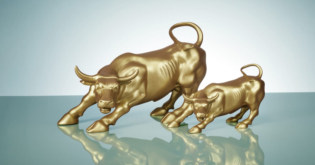 What Is Direct Indexing? - Vimarsana News