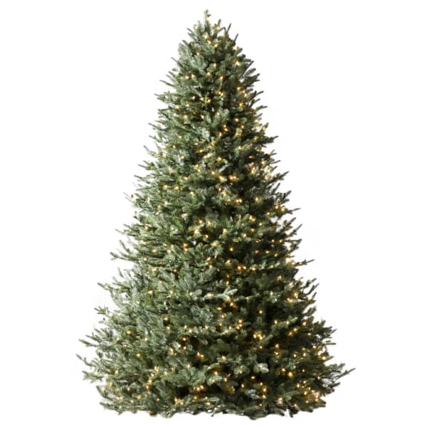 BH Balsam Fir (Candelight Clear LED, 7.5 Foot)